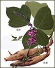 南京泽朗医药科技有限公司销售部,图片