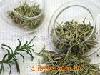 南京泽朗医药科技有限公司 欢迎咨询,图片