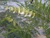 南京泽朗医药科技有限公司 欢迎咨询,图片