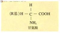 武汉远城药业有限公司,图片