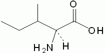 武汉远城药业有限公司,图片
