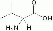 武汉远城药业有限公司,图片
