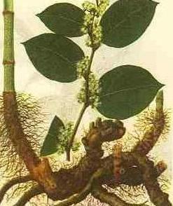 南京泽朗医药科技有限公司,图片
