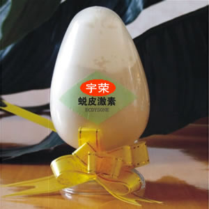 Ƽ޹˾,ͼƬ