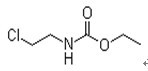 河南省恒誉医药有限公司,图片
