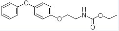河南省恒誉医药有限公司,图片