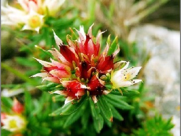宝鸡浩翔生物技术有限公司,图片
