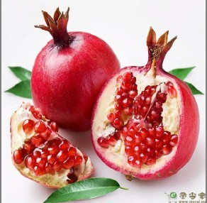 宝鸡浩翔生物技术有限公司,图片
