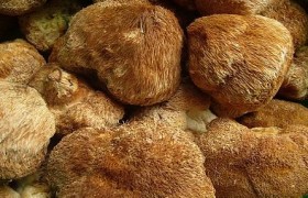 南京泽朗医药科技有限公司骆远萍,图片