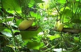 南京泽朗医药科技有限公司骆远萍,图片