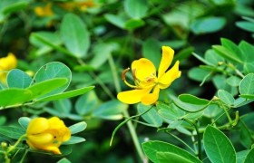 南京泽朗医药科技有限公司骆远萍,图片
