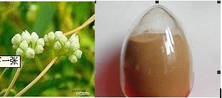 陕西西安斯诺特生物技术有限公司,图片