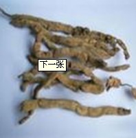 陕西西安斯诺特生物技术有限公司,图片