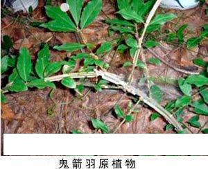 陕西西安斯诺特生物技术有限公司,图片