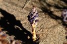 陕西西安斯诺特生物技术有限公司,图片