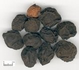 陕西西安斯诺特生物技术有限公司,图片