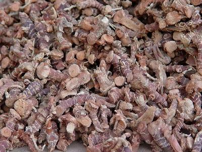 陕西西安斯诺特生物技术有限公司,图片