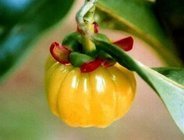陕西西安斯诺特生物技术有限公司,图片