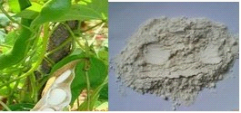 陕西西安斯诺特生物技术有限公司,图片