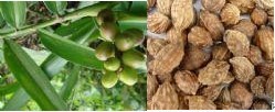 陕西西安斯诺特生物技术有限公司,图片
