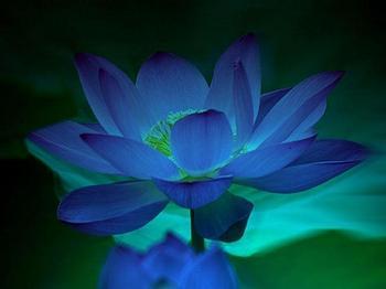 陕西西安斯诺特生物技术有限公司,图片