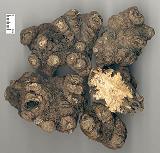 陕西西安斯诺特生物技术有限公司,图片