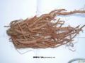 陕西西安斯诺特生物技术有限公司,图片
