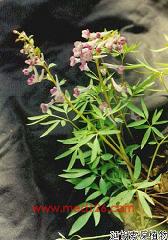 陕西西安斯诺特生物技术有限公司,图片