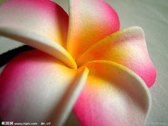 陕西西安斯诺特生物技术有限公司,图片