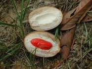 陕西西安斯诺特生物技术有限公司,图片