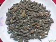 陕西西安斯诺特生物技术有限公司,图片