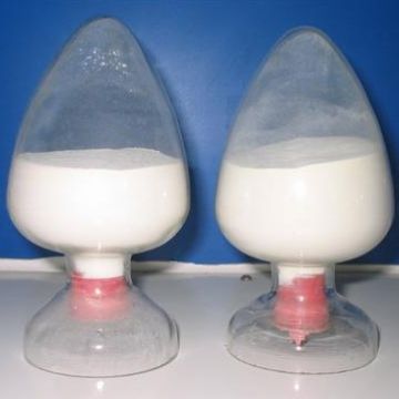 武汉梓海生物科技有限公司,图片