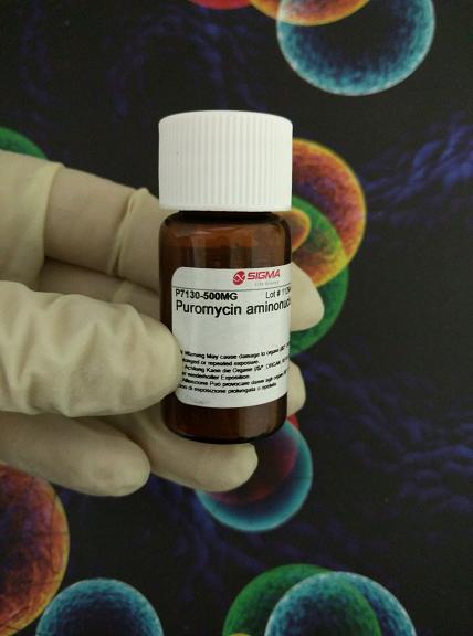 北京中生瑞泰生物科技有限公司,图片
